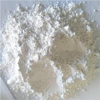 600目碳酸鈣 